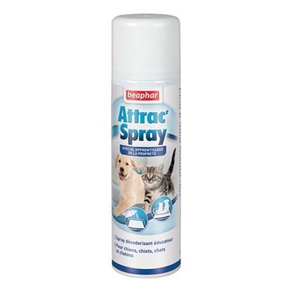 Picture of Beaphar Attrac’ Spray 250ml | Training Aid for Dogs & Cats